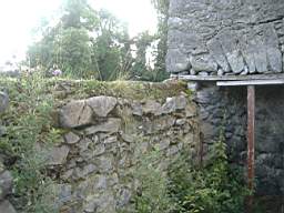 bellanamullia - 1128.JPG